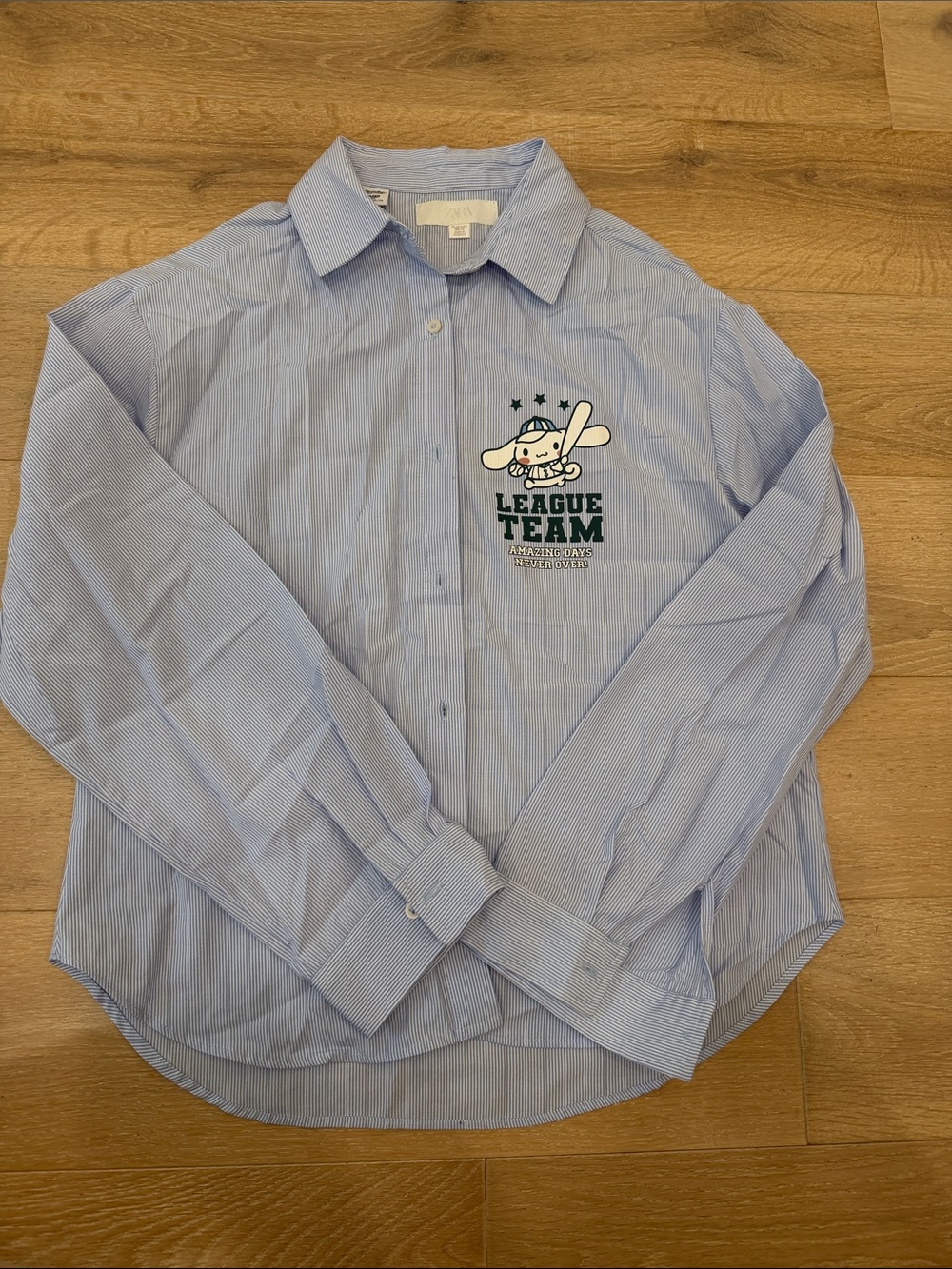 Zara Light Blue Striped Button-Down with League Team Graphic